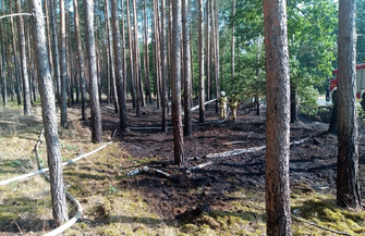 Pożar lasu w okolicach Goli ZDJĘCIA