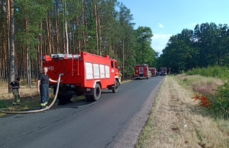 Pożar lasu w okolicach Goli ZDJĘCIA