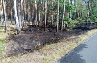 Pożar lasu w okolicach Goli ZDJĘCIA