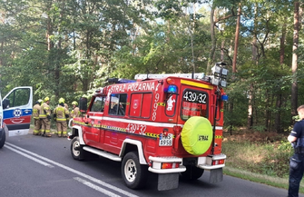 Pijany kierowca uderzyłw drzewo