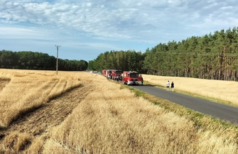 Pożar zboża na pniu w Łupicach ZDJĘCIA