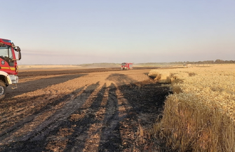 Pożar zboża na pniu w Konradowie ZDJĘCIA