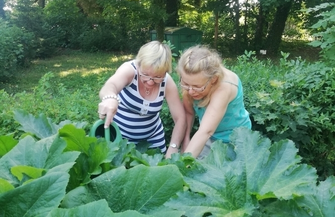 Warsztaty ogrodnicze w Przedszkolu nr 1