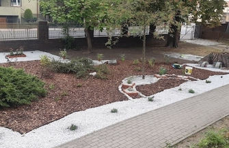 Projekt Od zależności ku samodzielności ZDJĘCIA