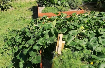 Projekt Od zależności ku samodzielności ZDJĘCIA