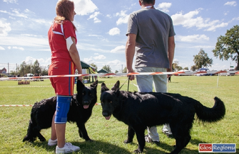 W Siedlnicy trwa wystawa psów ZDJĘCIA