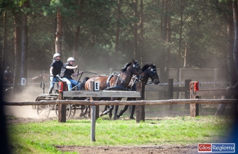 Znów będzie siędziało na Ranczo Rubin w Nowej Wsi.