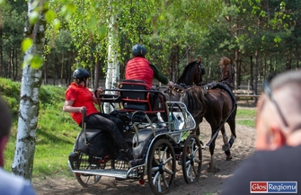 Znów będzie siędziało na Ranczo Rubin w Nowej Wsi.