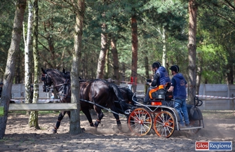 Znów będzie siędziało na Ranczo Rubin w Nowej Wsi.