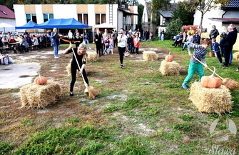 Dyniowy zawrót głowy