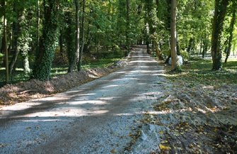 Trwa rewolaryzacja parku ZDJĘCIA