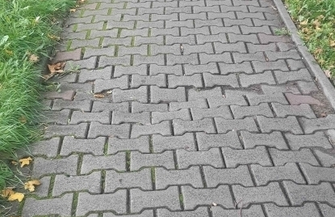 Trwa remont bieżący chodnika w Parku Górczyńskim ZDJĘCIA