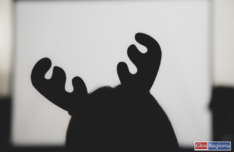 Mikozanki 2022 w I LO we Wschowie ZDJĘCIA