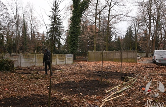 Kolejne prace przy Pałacu