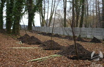 Kolejne prace przy Pałacu