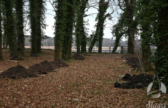 Kolejne prace przy Pałacu