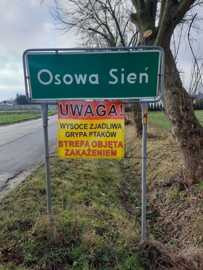 Gmina Wschowa przeciwko ptasiej grypie oznakowane wjazdy do strefy zakażenia