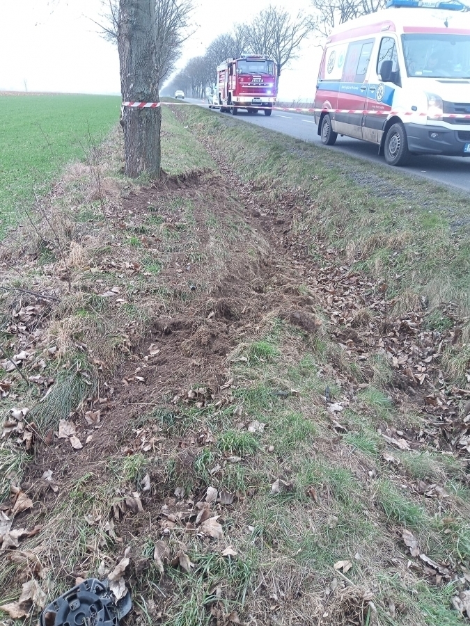 Dachowanie między Konradowem a Starymi Drzewcami