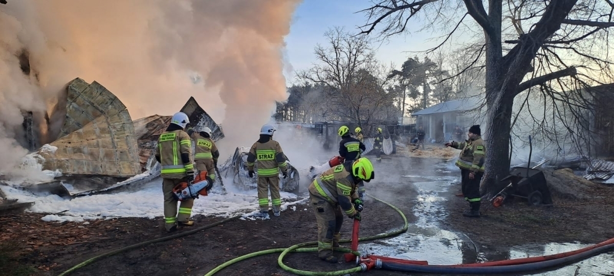 Pożar w Bagnie Na miejscu 11 zastępów