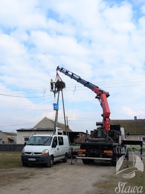 Bociany powrócą do Wróblowa na nową platformę FOTO
