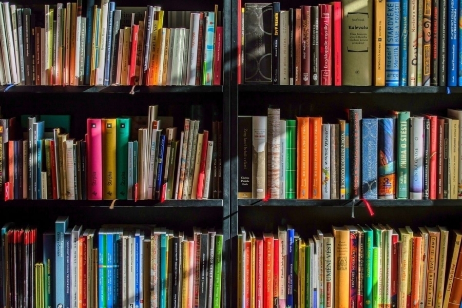 Do bibliotek w SOSW i I ZS trafiąnowości