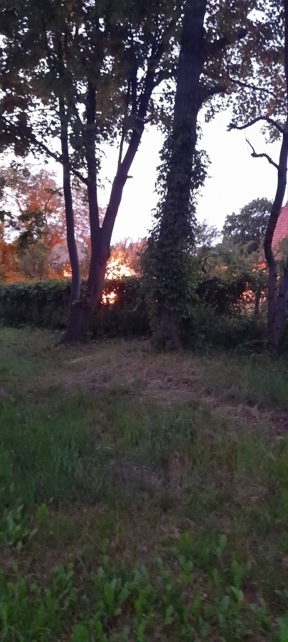 Wschowa. Płomienie w centrum miasta Interweniowali strażnicy miejscy VIDEO