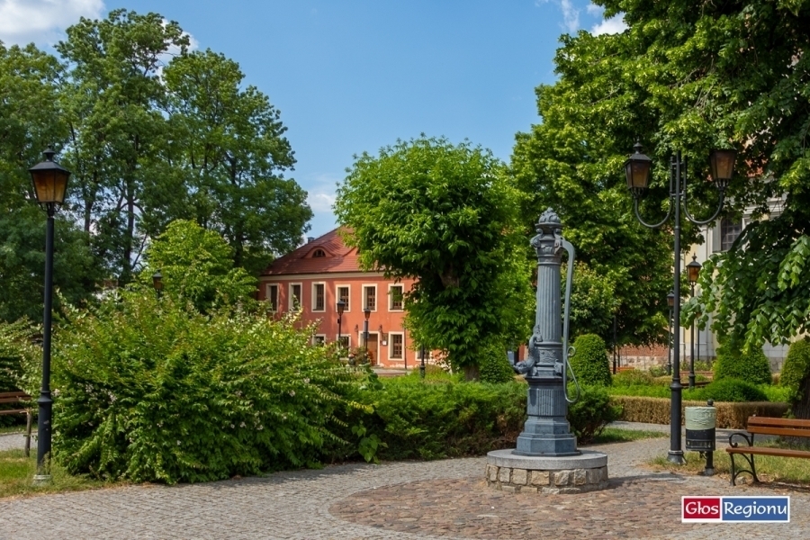 Weźudział w konkursie fotograficznym ph. Pstrykam i znikam - dzikie oblicze mojego regionu