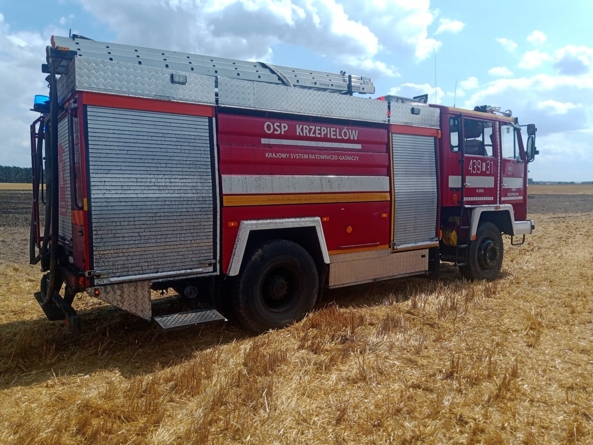 Krzepielów. Doszło do pożaru ścierniska. W akcji strażacy i rolnicy FOTO