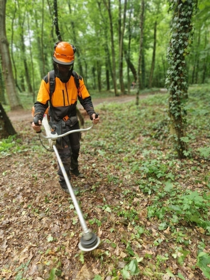 Park Wolsztyński we Wschowie. Rozpoczęło sięgrodzenie terenu budowy FOTO