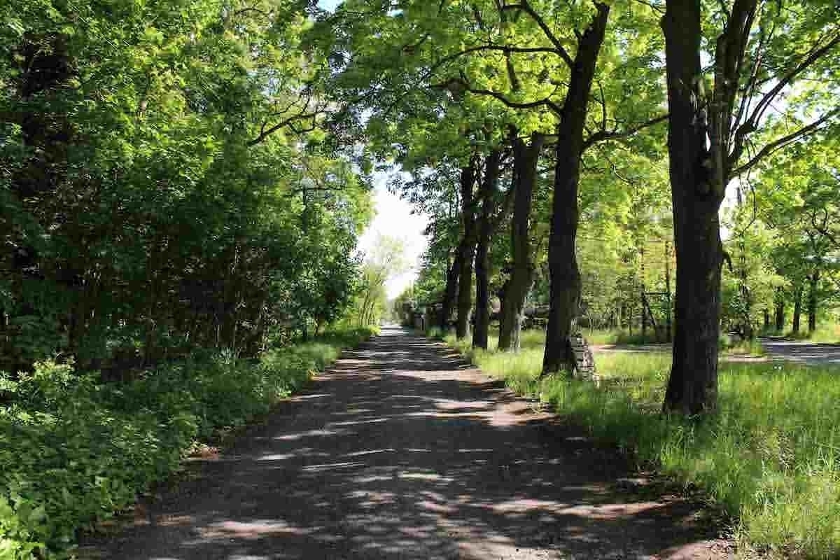 Zakończenie przebudowy drogi w Nowych Drzewcach FOTO