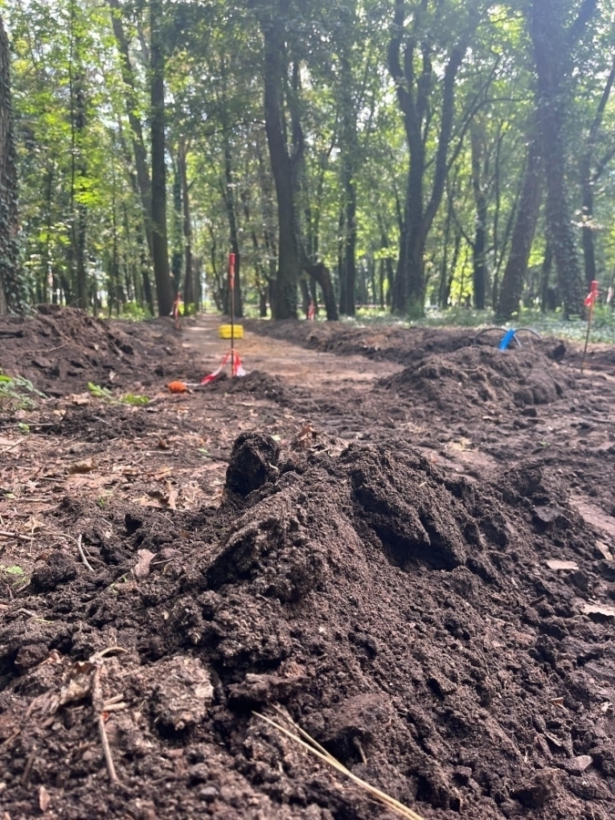 Intensywne prace w Parku Wolsztyńskim. Tor rowerowy i alejki już w budowie FOTO