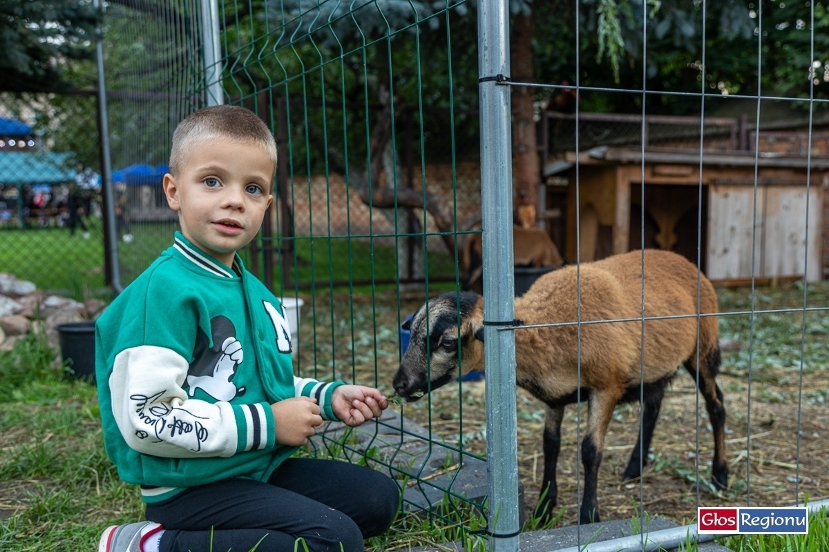 Wieczór Uwielbienia Muzyka i modlitwa w klasztornym ogrodzie FOTO