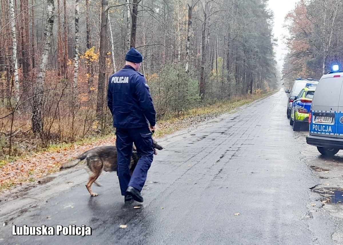 Próbowali okraśćbankomat schowali sięw lesie. Wschowscy policjanci odbyli ćwiczenia sztabowe
