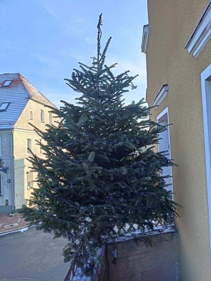 Szlichtyngowa wkrótce rozbłyśnie iluminacjami świątecznymi FOTO