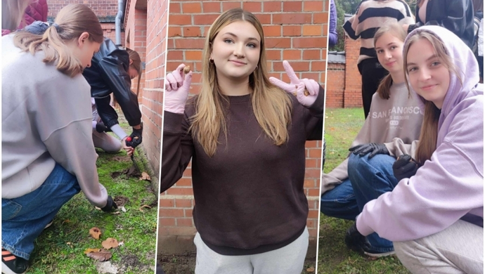 Na wiosnę przed „Zanem” zakwitną krokusy. „Kolejna szczytna akcja”