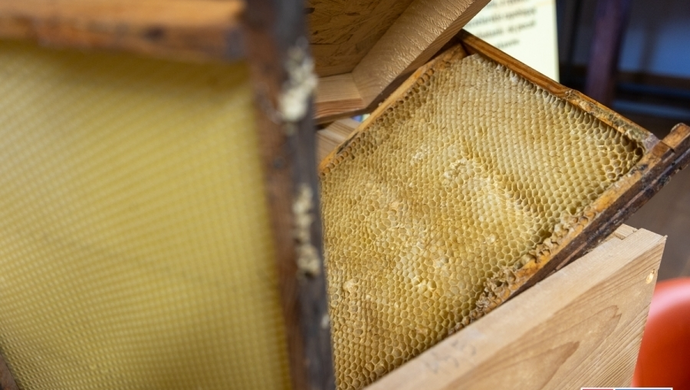 Spotkanie pszczelarzy - nie przegap okazji na refundacje!