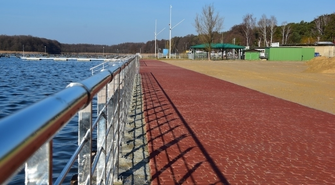 Na promenadzie w Sławie znaleziono dziką gęś,