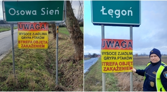 Gmina Wschowa przeciwko ptasiej grypie: oznakowane wjazdy do strefy zakażenia