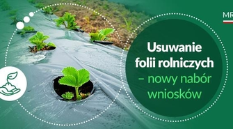 Usuwanie folii rolniczych i innych odpadów pochodzących z działalności rolniczej