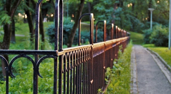 Co posadzić wzdłuż ogrodzenia?