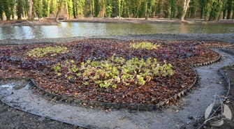 Mamy zdjęcia z Parku w Sławie