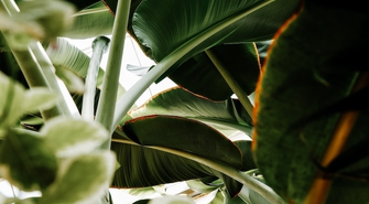 Taras z ogrodem - jak połączyć te dwa elementy?