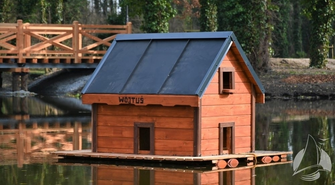 Schronienie dla kaczek