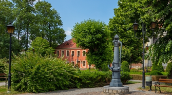 Weź udział w konkursie fotograficznym ph. „Pstrykam i znikam - dzikie oblicze mojego regionu"