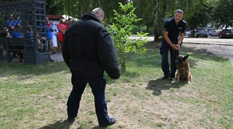 Szkolenie z udziałem psów