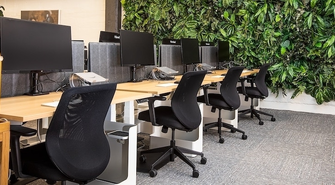 Jak umiejętnie wykorzystać rośliny stabilizowane w biurze?