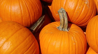 Jesienny Piknik Rodzinny „Dyniowy zawrót głowy” w Sławie