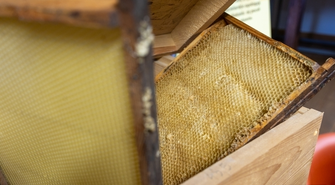 Spotkanie pszczelarzy - nie przegap okazji na refundacje!