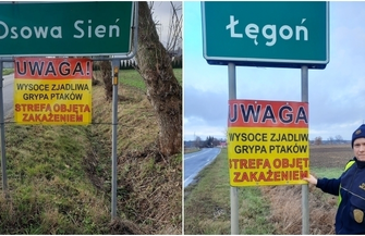 Gmina Wschowa przeciwko ptasiej grypie oznakowane wjazdy do strefy zakażenia