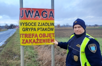 Gmina Wschowa przeciwko ptasiej grypie oznakowane wjazdy do strefy zakażenia